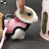 Ferret Small Animals Pet Lead Bunny Mesh Chest Hamster Vest Harness Rabbit Leash Collar