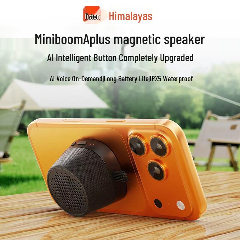Портативная умная Bluetooth-колонка Ximalaya, штекер CN (адаптер в комплекте)