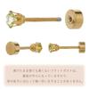 [Piena] surgical stainless steel natural stone 3mm for one ear Sold as 1 piece back screw Back side flat One stone 6 claws earrings ladies men's