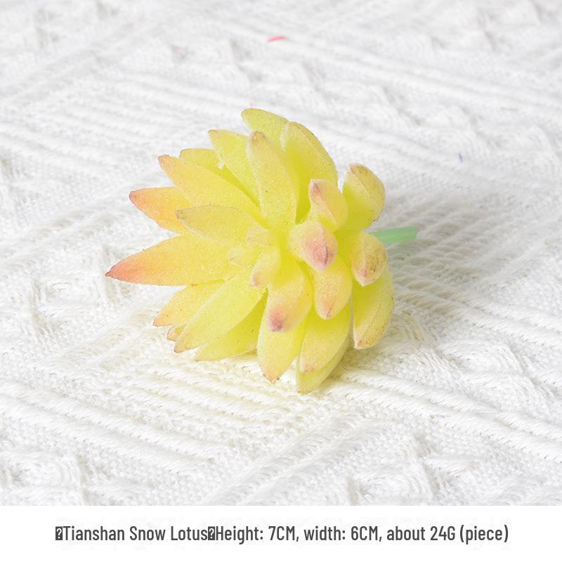 Mini Flocking Artificial Succulent Bonsai for DIY Wall Decor