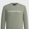 Emporio Armani Мужская футболка с длинным рукавом и принтом логотипа FW23, свободный крой, круглый вырез, топ, зеленый, 8N1TN8-1JPZZ-0598