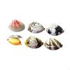 6x Simulated Clams Outdoor Sprinkler Toys Water Spray Toy Interactive Games Fun Press Type for