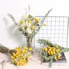 30PCS Natural Yellow Craspedia Billy Balls, Yellow Billy Buttons Balls Bouquet Dried Yellow Flowers for Home Decor Photo Props DIY Wedding Decoration