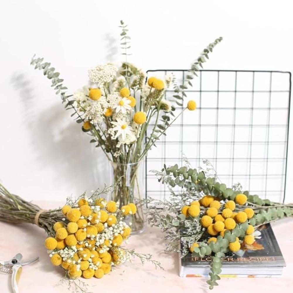 30PCS Natural Yellow Craspedia Billy Balls, Yellow Billy Buttons Balls Bouquet Dried Yellow Flowers for Home Decor Photo Props DIY Wedding Decoration