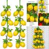 Room Artificial Lemon Modle 2 Strings 52CM Garden Decor Home Ornaments PU