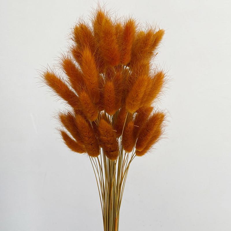 50 шт., букет из сухоцветов с изображением кролика и хвоста кролика, декор для свадебной вечеринки, пушистые пампасы, рождественская цветочная композиция своими руками