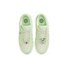 Nike Dunk Low Next Nature Sea Glass Женские кроссовки Зеленые светло-серебристые Vapor-Green FN6344-001
