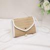 New Straw Woven Simple Women's Bag Fashion Shoulder Bag Niche Women's Messenger Bag One Piece