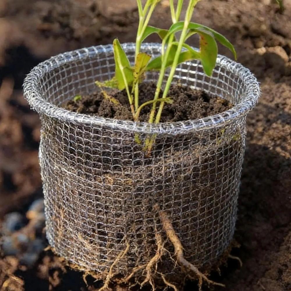 Stainless Steel Plant Root Protection Cover Protective Mesh Bag Flower Bulbs Protection