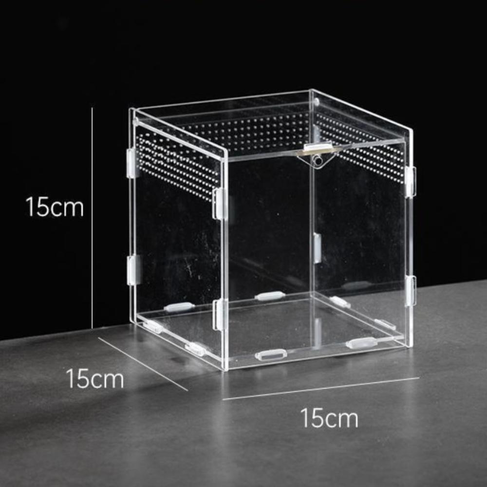 Anti-Escape Reptile Habitat Clear Spider Feeding Case Durable Lizard Breeding Box for Chameleon