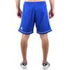 adidas Шорты Squadra 17 'Bold Blue' Мужские S99153