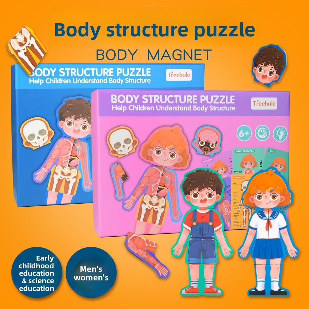 Деревянная структура тела Puzzle Для детей Образовательная развивающая игрушка Для мальчиков и девочек