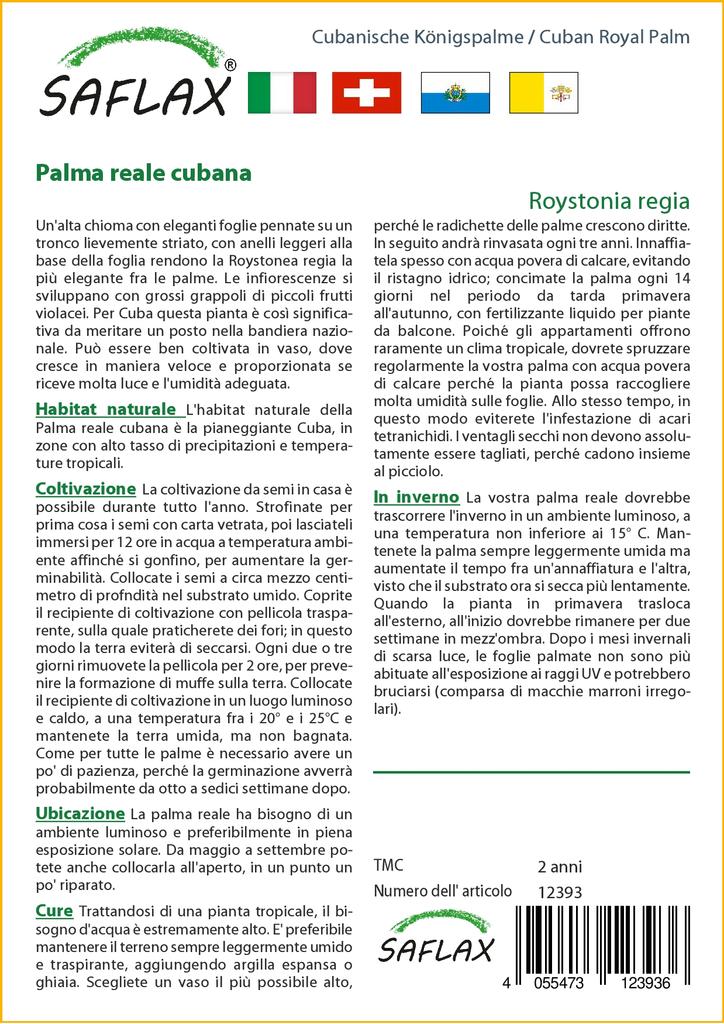 SAFLAX Cuban Royal Palm - 8 семян - С горшечным субстратом для лучшего выращивания - Roystonia regia