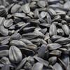 Black Sunflower Seeds 20 Kg, Bird Food