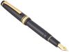Перьевая ручка Sailor Professional Gear Slim Gold Medium Fine 11-1221-320