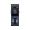 Умная записывающая ручка iFLYTEK SR302Pro