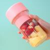 Mini Handheld Juicer Detachable Straw Fruit Blender Electric Juicer Blender  Kitchen