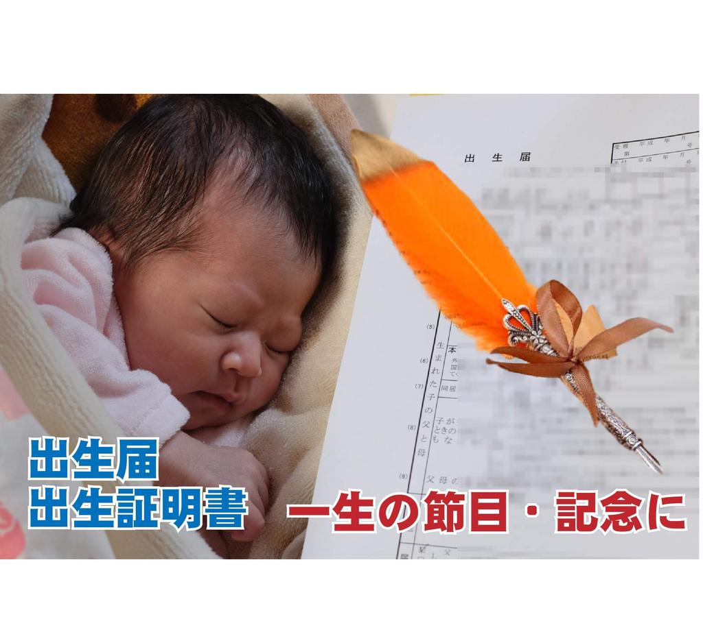 Quill Pen Retro and Stylish Dip Pen Feather Pen Fountain Pen Signature Pen with 5 Refills (Orange)