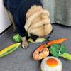 Набор из трех плюшевых игрушек для собак, устойчивых к укусам - Рагу из куриной ножки