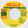 7-дюймовая пластинка BUJU BANTON - Grudge Digital B 1991 Ямайка Регги, Ска и Даб
