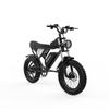 Ridstar Q20 integrated wheel All Terrain Electric Bicycle 1000W Men's E-Mountain ebike 48V17.5Ah Battery 20 Inch Wide Tyre women's Electric Bike