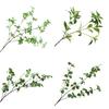 Long Lasting Fake Green Leaves No Watering Beautiful Artificial Pieris Japonica Branch Decor