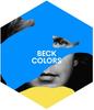 CD BECK - COLORS 00602557176797 Fonograf Record 2017 Европа Рок Б/У
