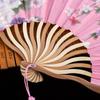 1Pcs Dance Performance Props Folding Fan Summer Silk Cloth Portable Retro Fans