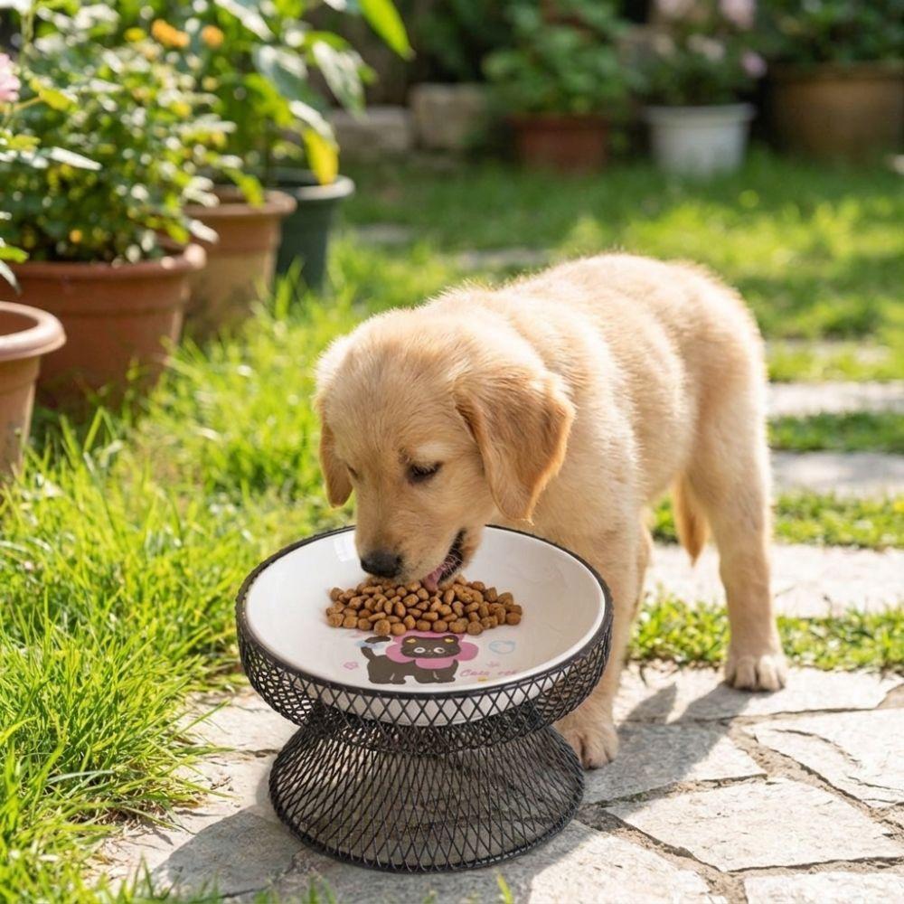 Non-Slip Elevated Pet Bowl No Spill Cat Feeding Station Pet Feeder Multi Pet Household