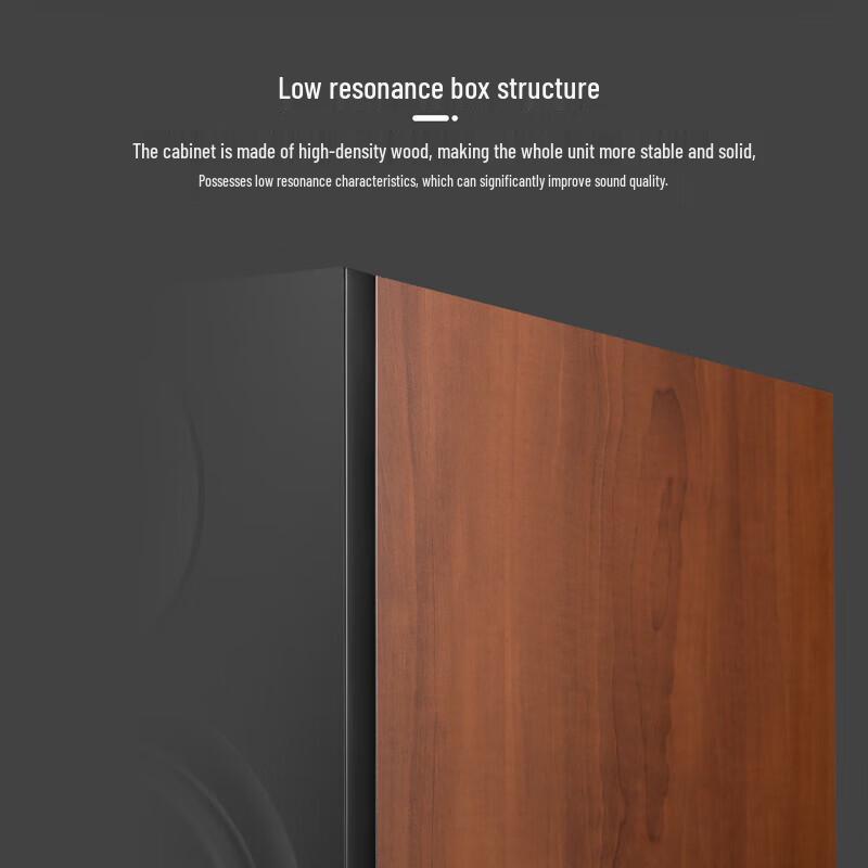HiVi Bach+ Passive Hi-Fi Bookshelf Speakers with M Stand CN plug (adapter included) (CN version)