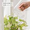 HARIO Tall Beaker 300mL Made in Server, Capacity, Heat-Resistant Glass, Japan, TBV-300