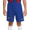 Nike Футбольные брюки Barcelona Club Player Edition с логотипом, полосатые, повседневные, спортивные, мужские, синие, CD4204-455