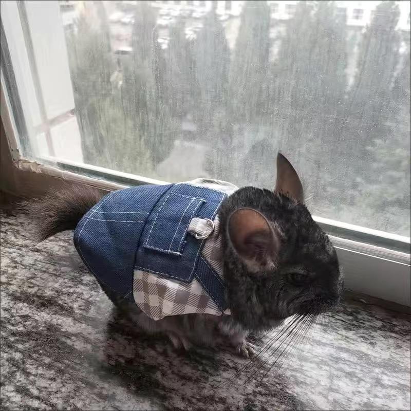 Ходячие мелкие животные Шлейка для домашних животных Шиншиллы Кролики Джинсовый кролик Морская свинка Кролик Холланд Лопс Поводок mascotas Аксессуары