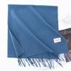 Solid Color Imitation Cashmere Scarf Women's Winter Warm Shawl Neck Scarves