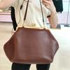 Luxury Design Clip Bag Fashion Largecapacity Frame Handbag Spacious Carryall Women Versatile Shoulder Vintage Shell Clutch Purse