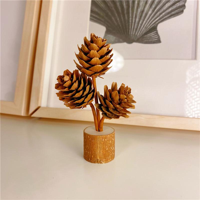 Forest style pine cone desktop decoration Wabi Sabi style pure handmade DIY
