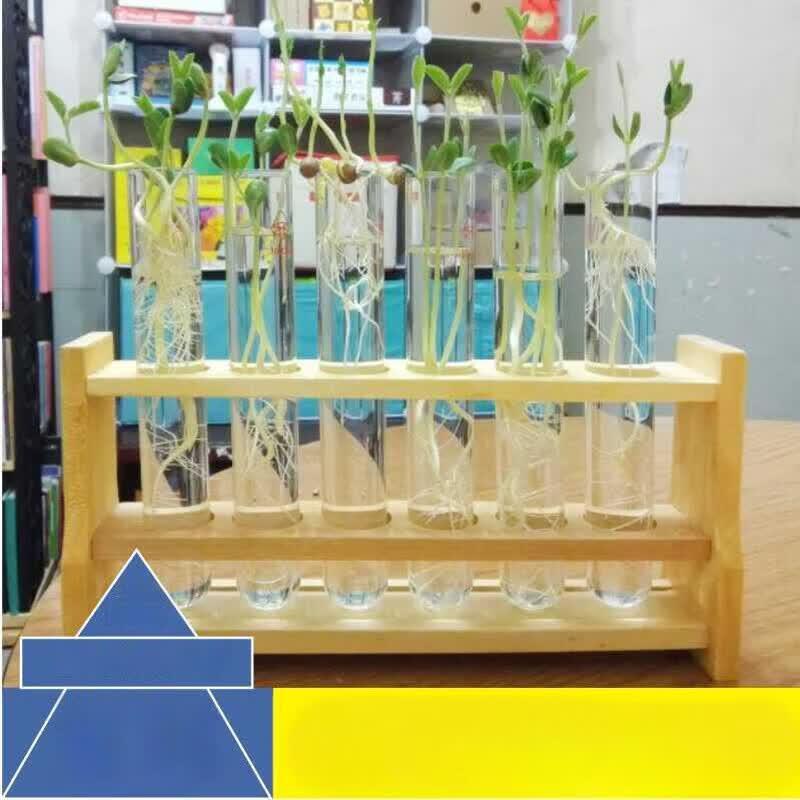 Wooden Colorimetric Tube Rack