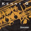 7-дюймовая пластинка KENNY G  Songbird RIS18 Arista 1987 UK Jazz Б/у