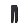 Мужские вязаные спортивные штаны Legend Blue F11M028603FNV