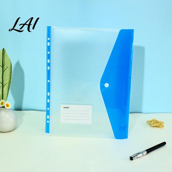Project File Organizer 11 Hole Binder Pockets for A4 Binders Plastic Expanding Folders Snap Button Pocket with Closure & Transparent Label