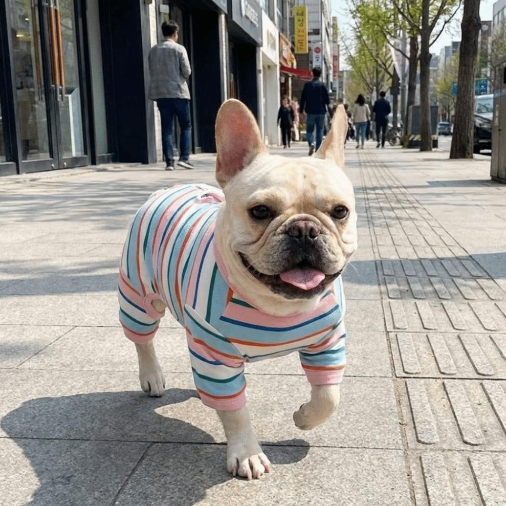Elastic Colorful Striped Dog Jumpsuits Cotton Cat Pajamas Puppy Rompers Indoor Wear
