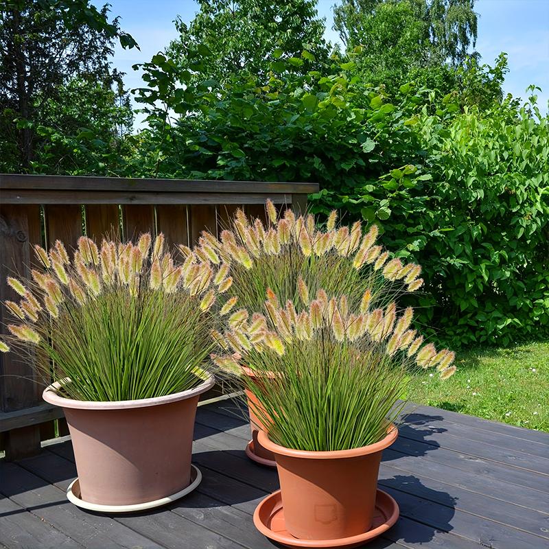 1/6 Bundles Simulation Ground Plants Outdoor Plastic Wedding Fake Dog Tail Flower Window Frame Decor 2 Sizes