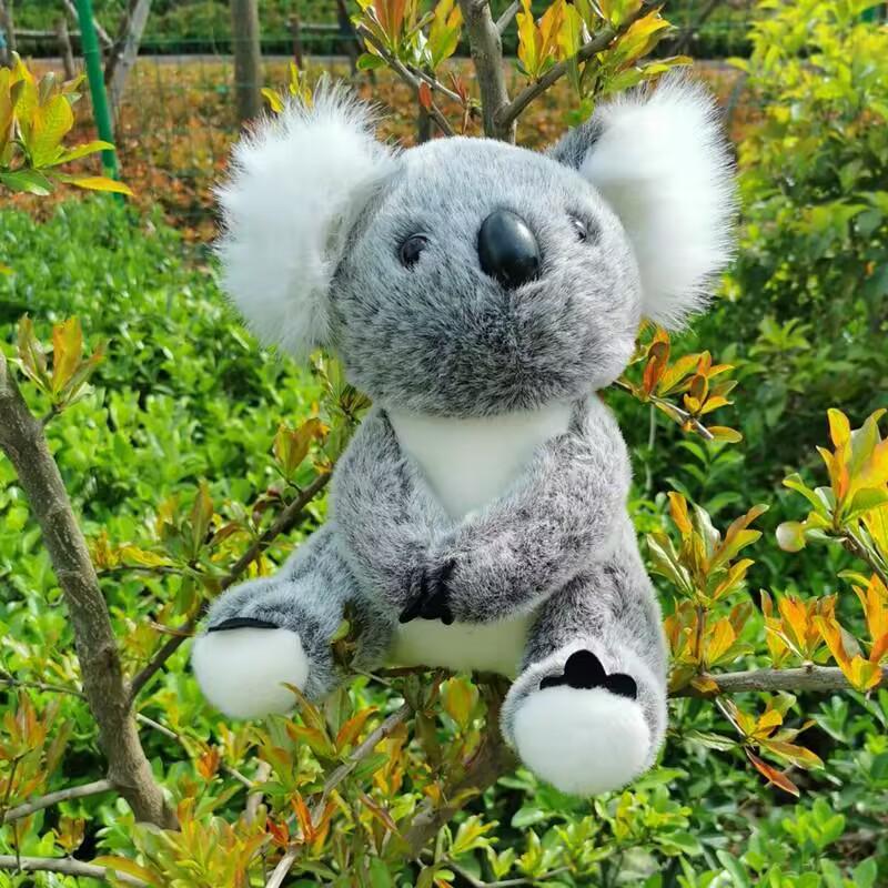 Плюшевая игрушка Коала из Австралии - Мягкая тканевая кукла в подарок девочке на день рождения