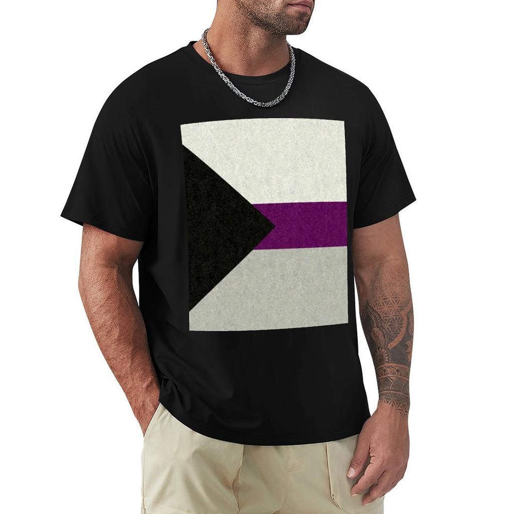 Demisexual Pride Flag Colored Background TShirt shirts graphic tee funny costumes men clothings