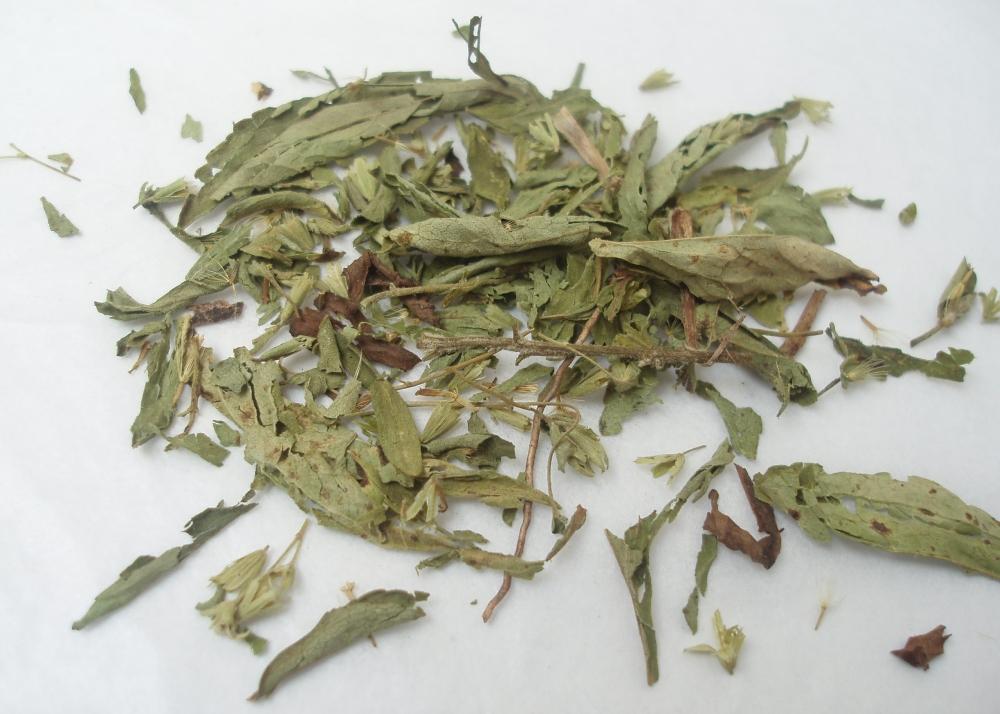 SAFLAX Garden in the Bag - Sweet Leaf of Paraguay - 100 семян - С субстратом в подходящем пакете - Stevia rebaudiana