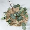 Leaves Artificial Eucalyptus Robusta Smith For Wedding Party Decor