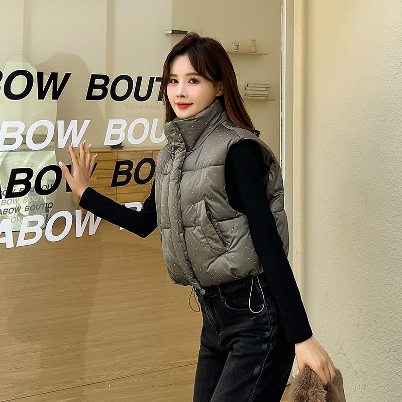 Женская осенне-зимняя однотонная утолщенная верхняя одежда с хлопковой подкладкой и воротником-стойкой, теплая куртка без рукавов, пальто, жилет