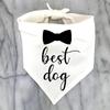 Best Dog of Honor Bandana Scarf Wedding Engagement Bridal Shower Bride To Be Bachelorette Hen Party Decoration Photo Shoot Gift