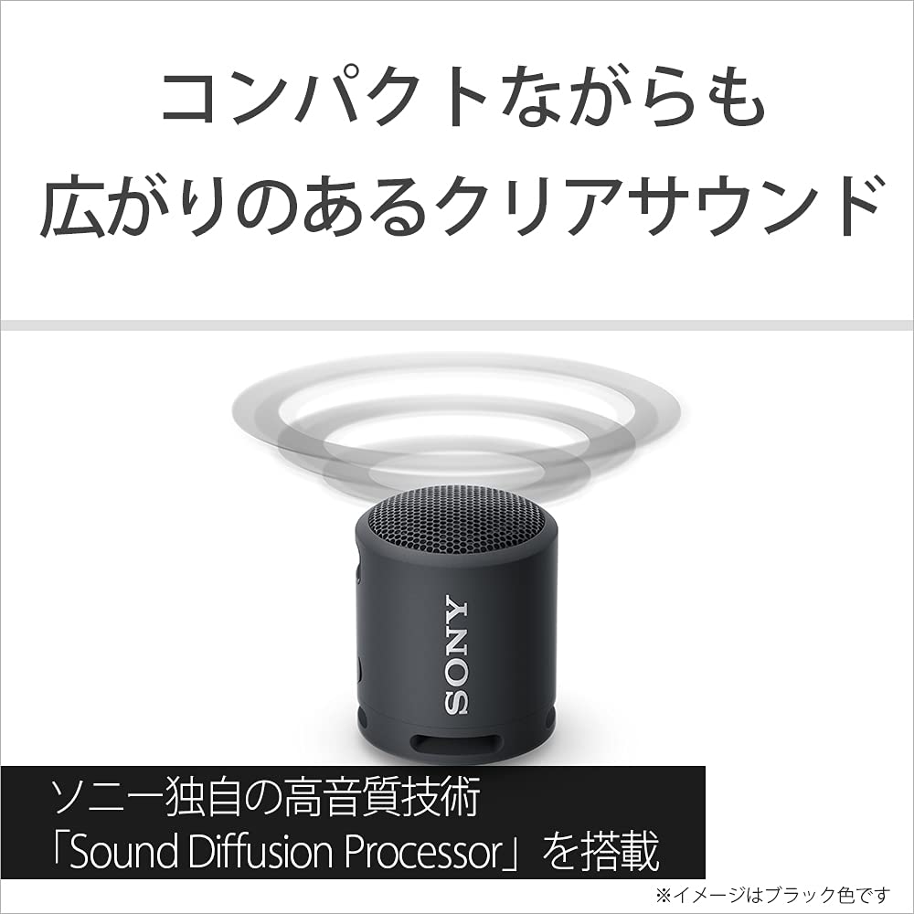 Sony Portable Speaker BC Black Up to 16 Hours Battery Life SRS-XB13 (2021 Model) - Waterproof/Dustproof IP6,
