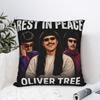 Покойся с миром Оливер Три 1993-2026 Наволочка Уютная Наволочка для Подушки Винтажная Наволочка для Стула Дивана Домашний Декор